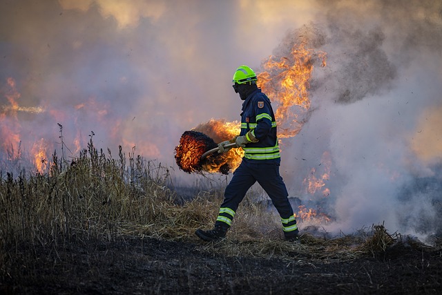 Imagem brigadista apagando incêndio na floresta.